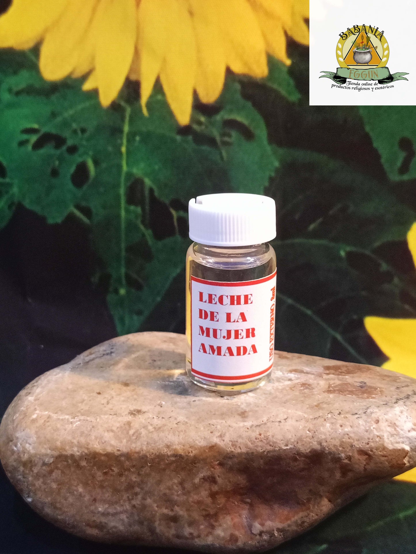 EXTRACTO DE LA MUJER AMADA