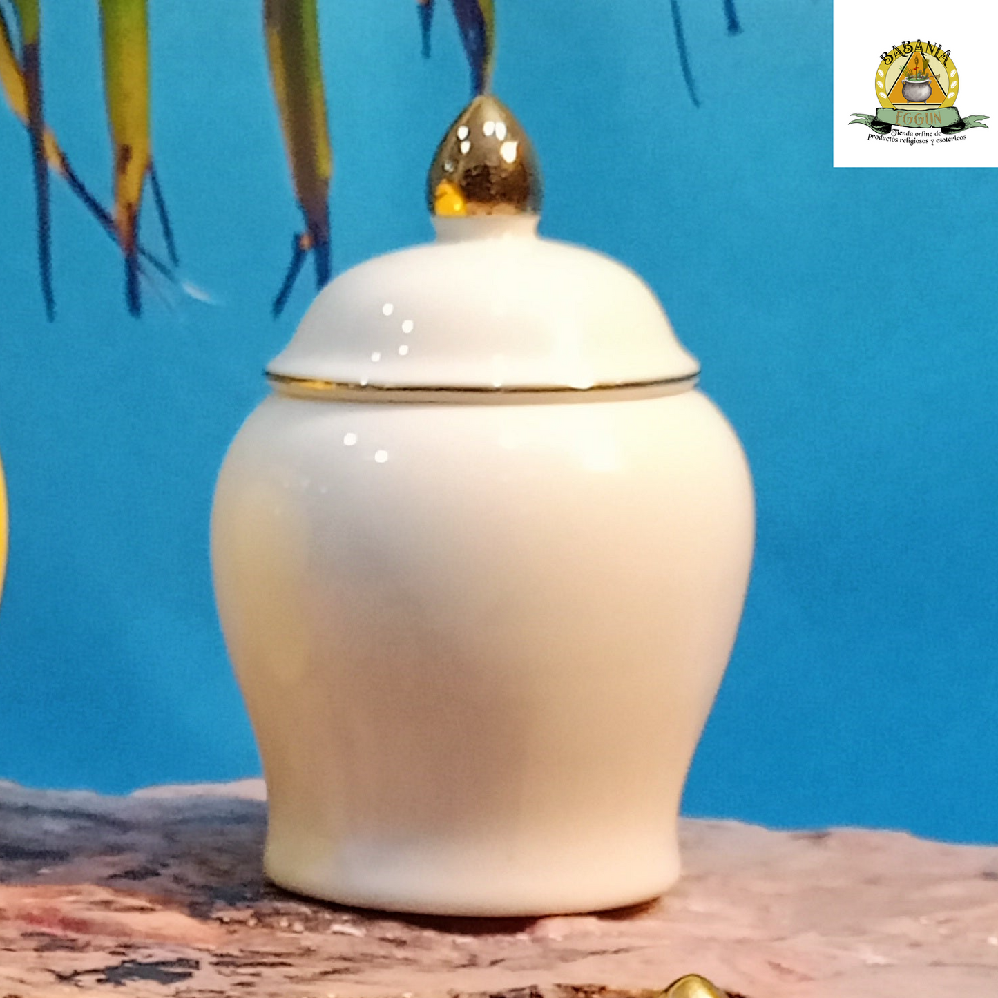 IBEYIS POTICHE BLANCO pequeño ( 6.5 x 4.5)