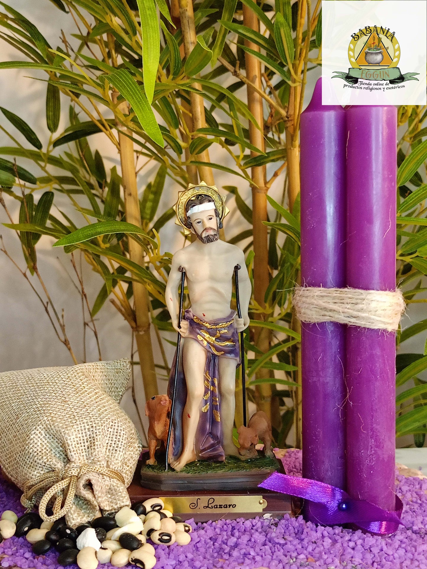 LIMPIEZA SAN LAZARO  casos difíciles de salud y desenvolvimiento