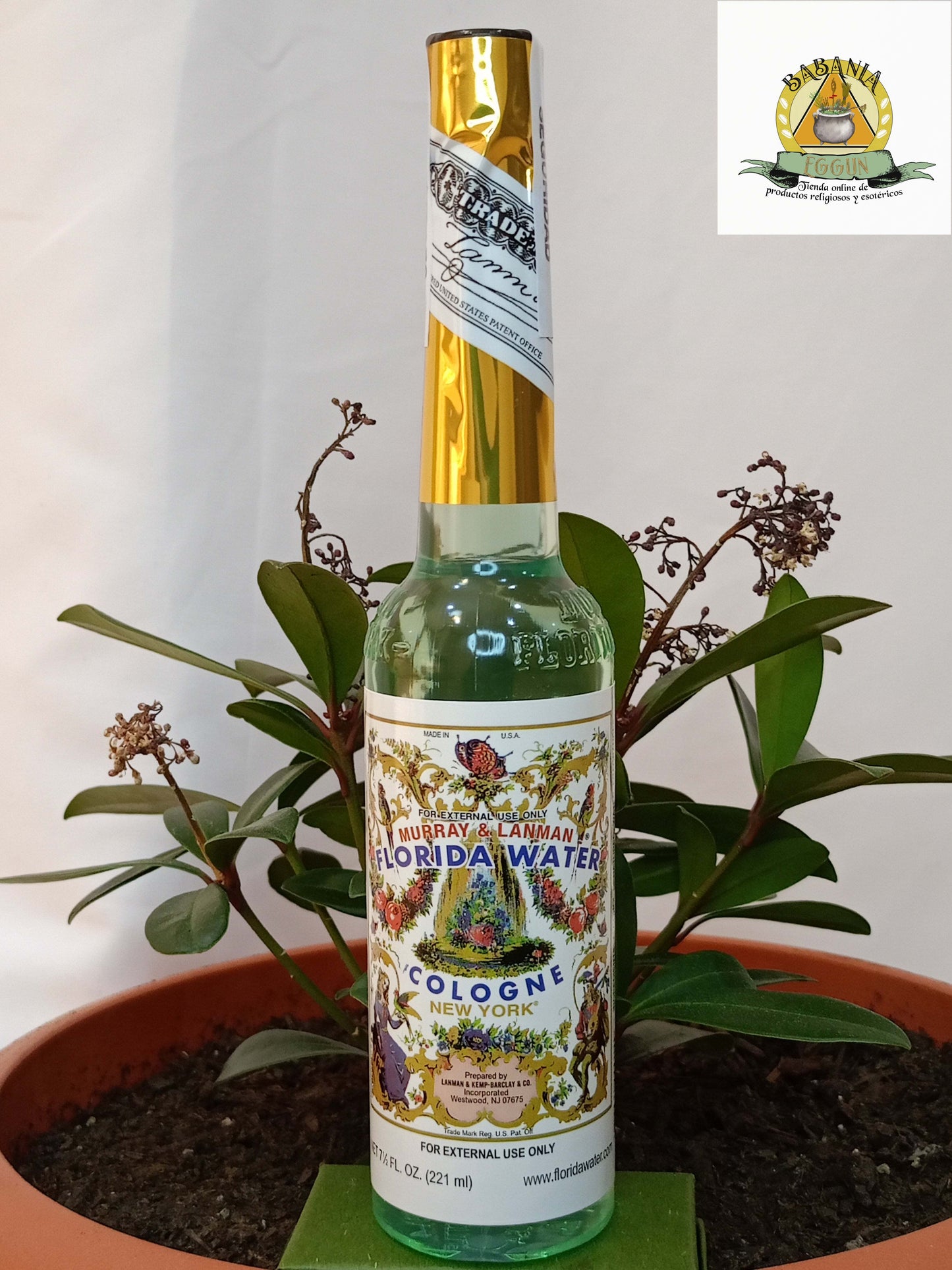 COLONIA AGUA  FLORIDA MURRAY & LANMAN 221ML