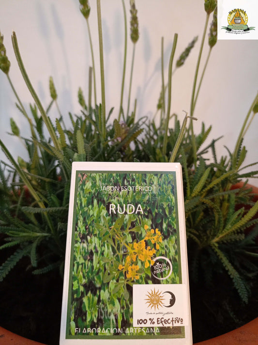 JABON  RUDA