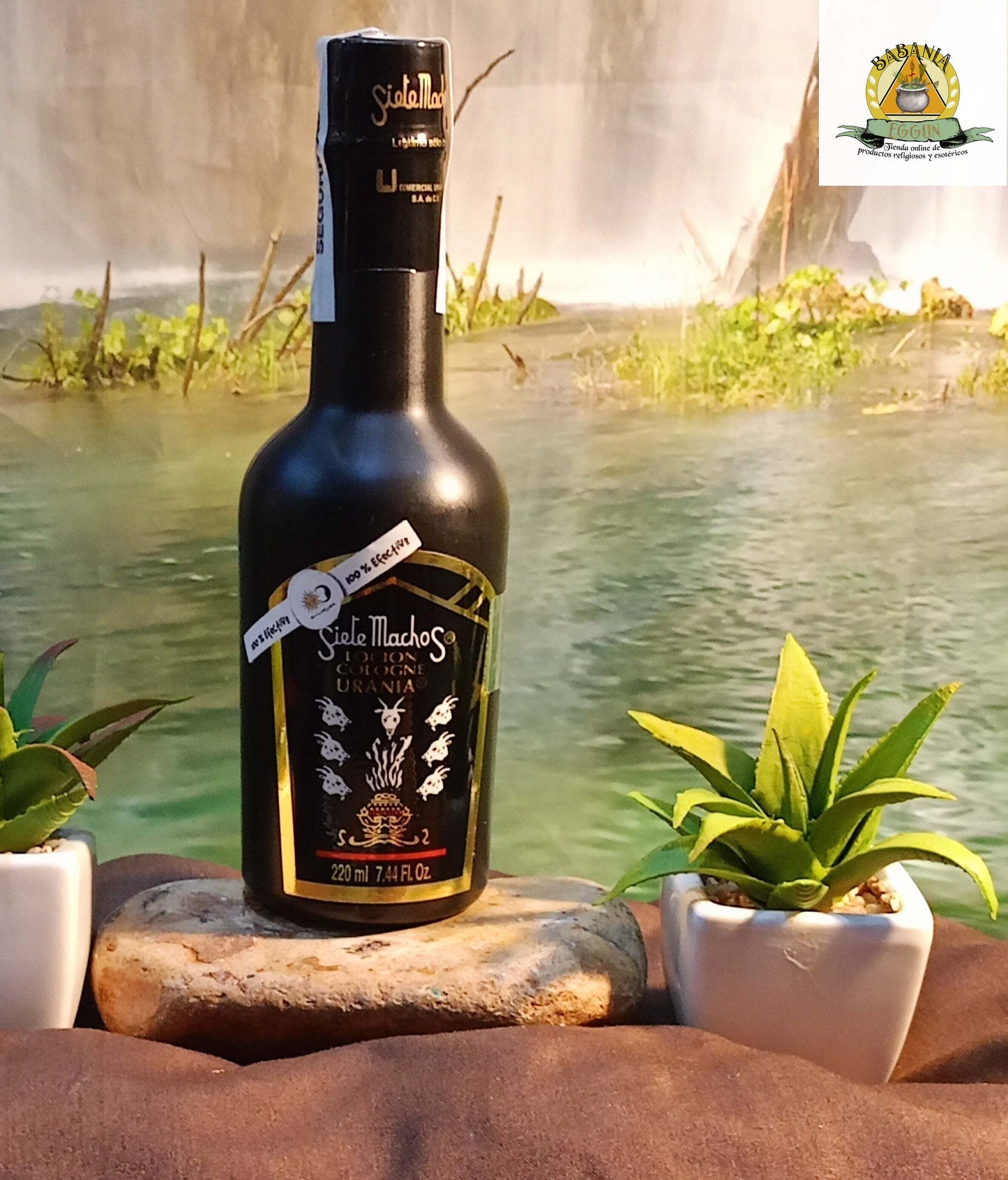 LOCION 7 MACHOS ( original) 220ML