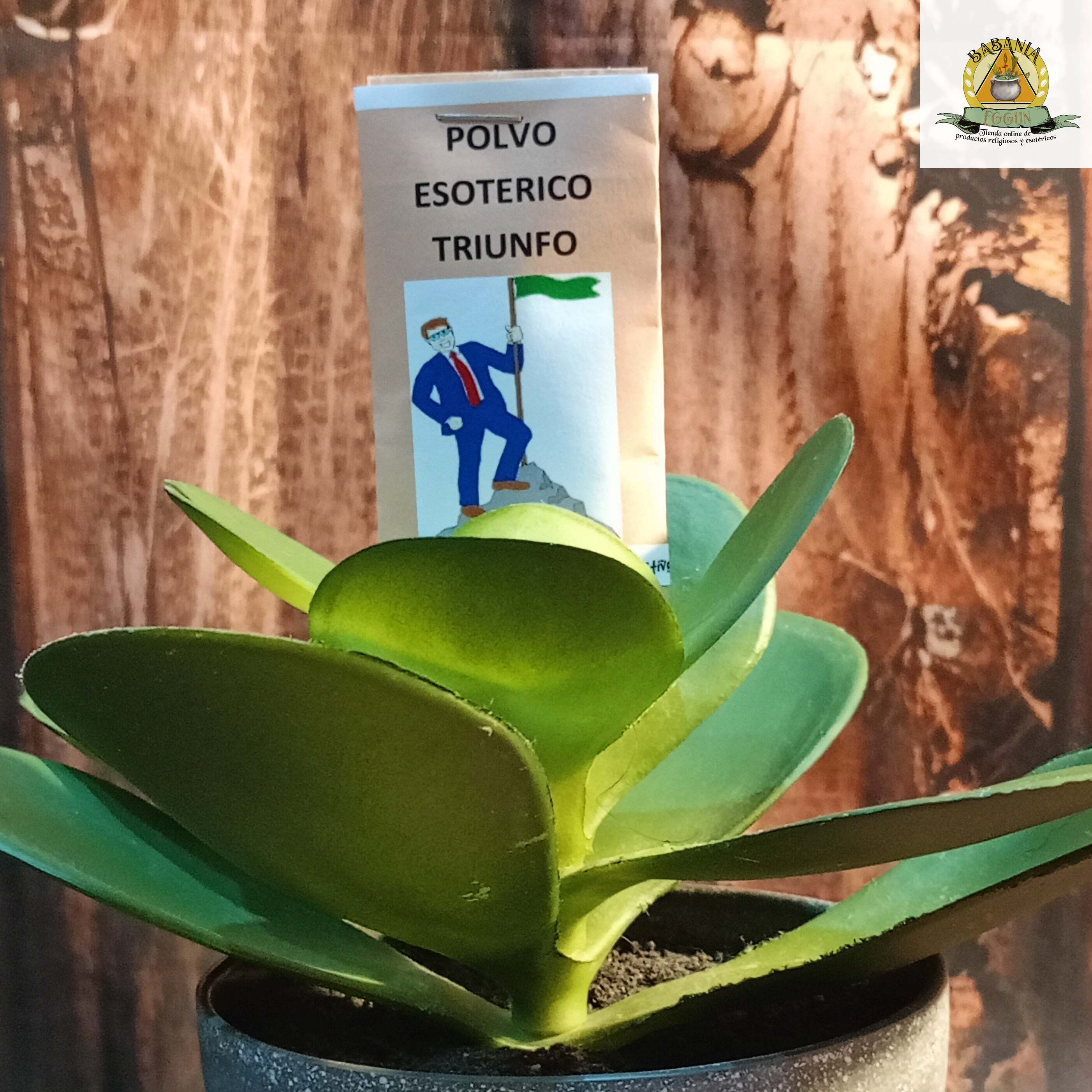 POLVO TRIUNFO