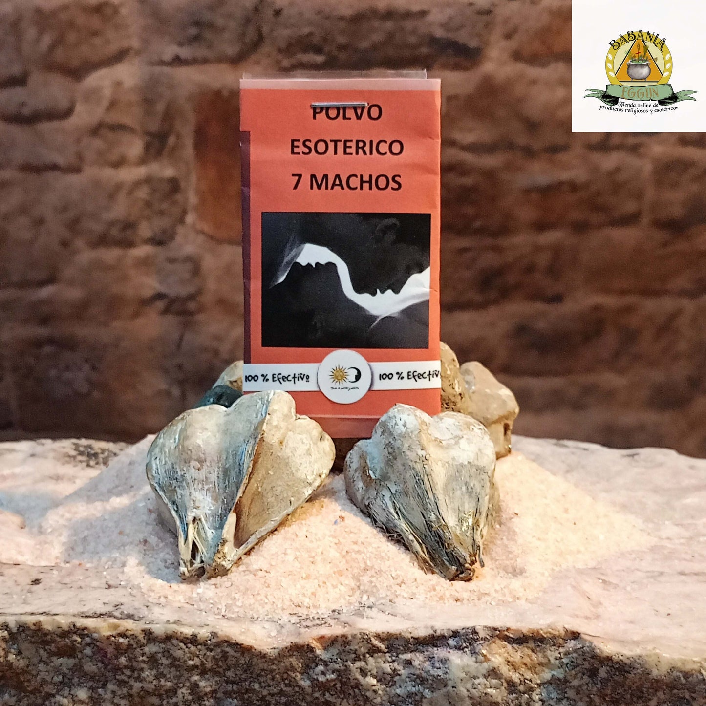 POLVO 7 MACHOS