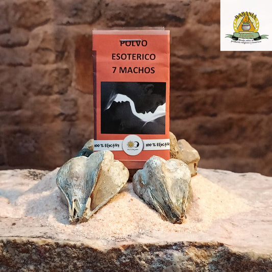 POLVO 7 MACHOS