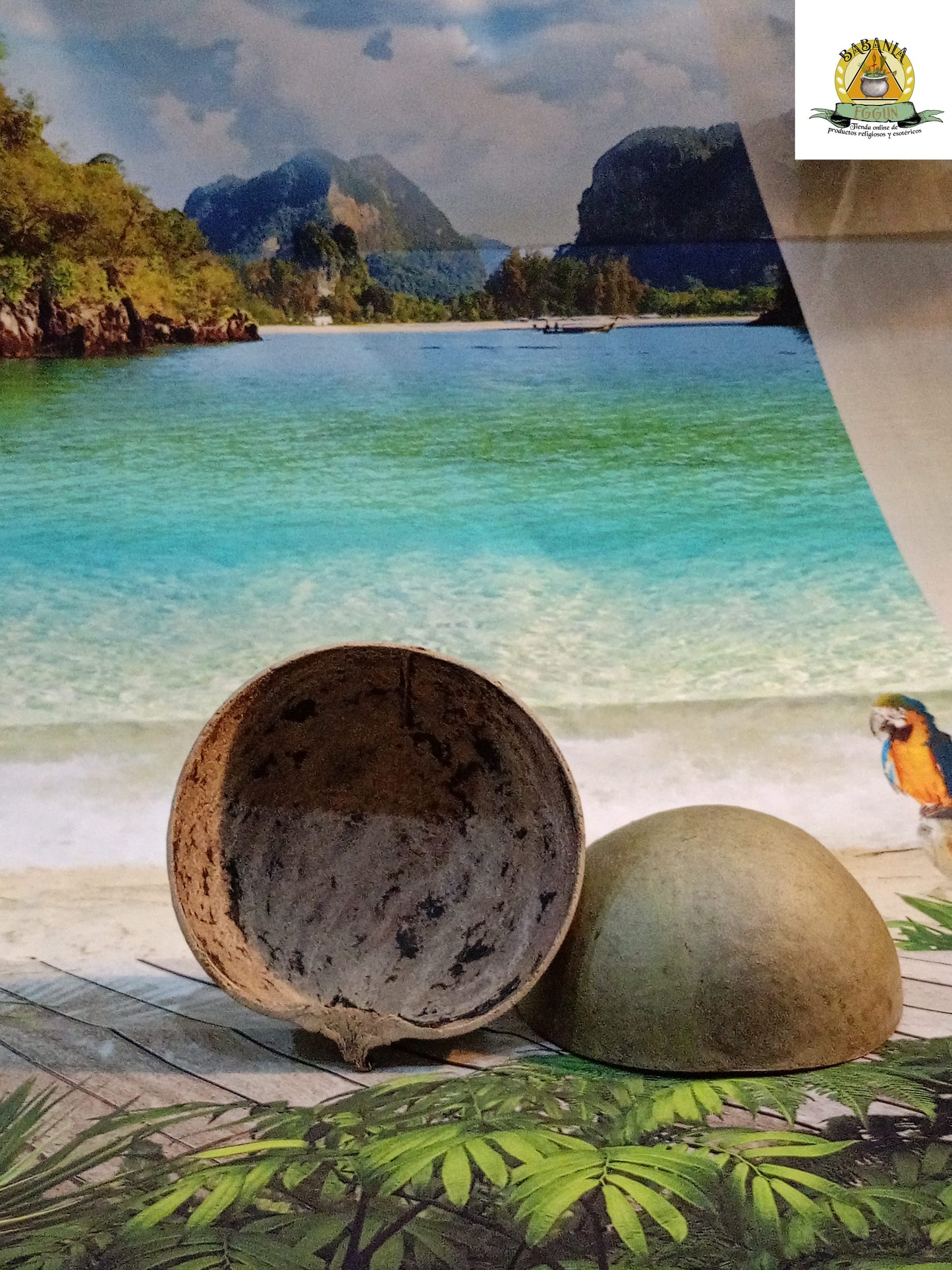 JICARA TOTUMA (para ofrendas ) mediana